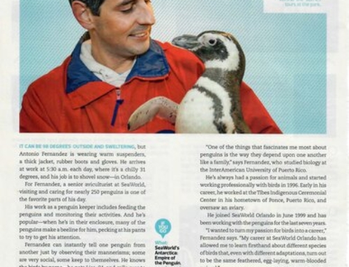 USA Today Go Escape Magazine: Mr. Fernandez’s Penguins